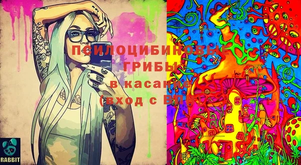 спайс Арсеньев