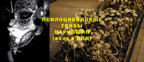 спайс Арсеньев