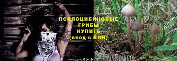 гидра Аркадак